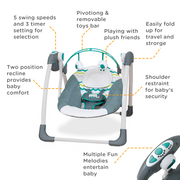 MASTELA- Deluxe Portable Swing_6504
