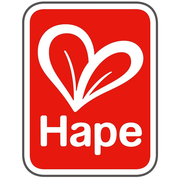Hape Fantasia Blocks Castle